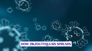 how zikzoutyqulsis spread